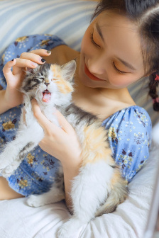 一品道门免费观看在线